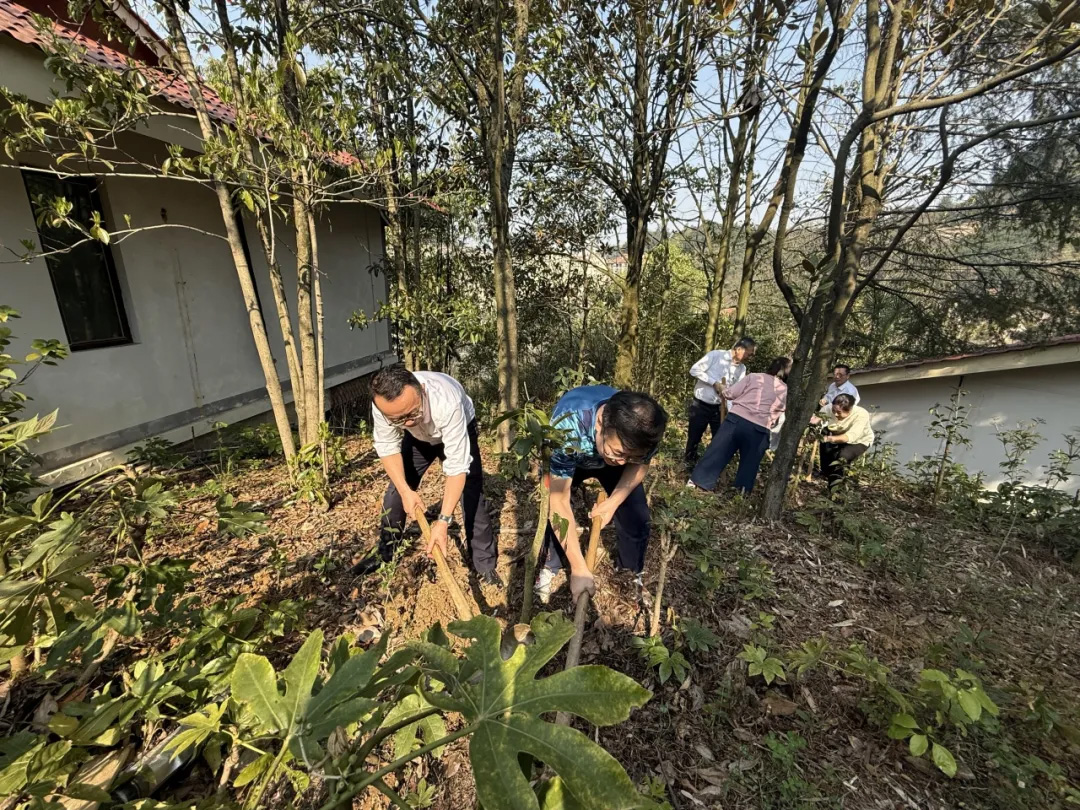 未标题-14.jpg 未标题-14.jpg